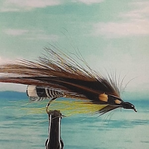 Trout/Salmon Streamer 18: Variety of Styles Available