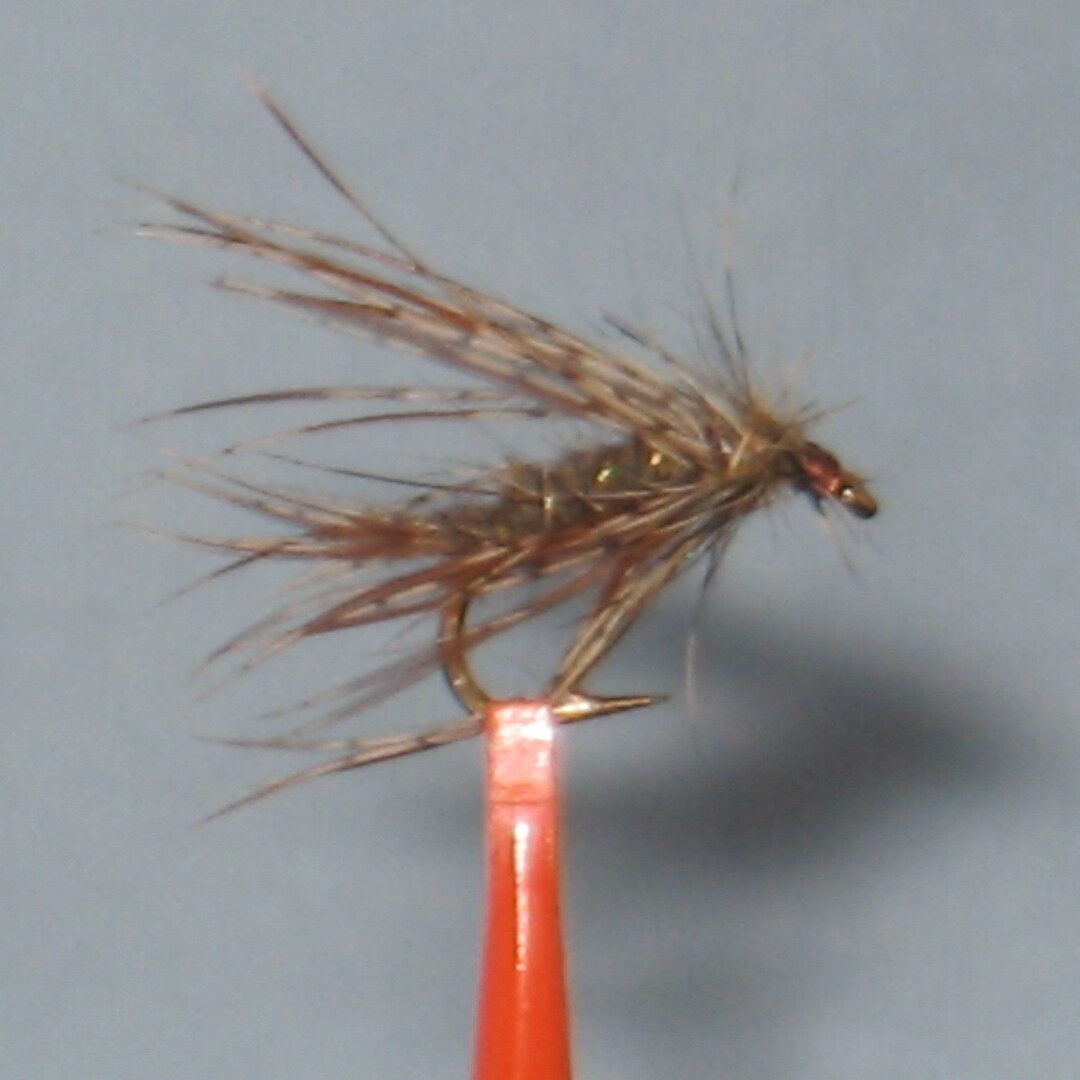 Mosca seca para trucha: 19 estilos variados España