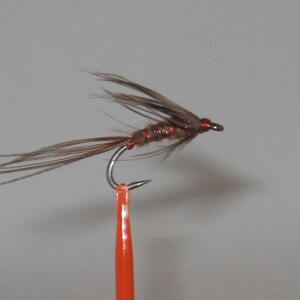 Trout Wet Fly 35: Variety of Styles Available
