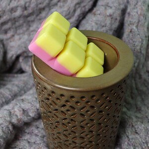 Watermelon Lemonade Wax Melts with Plastic Free Packaging
