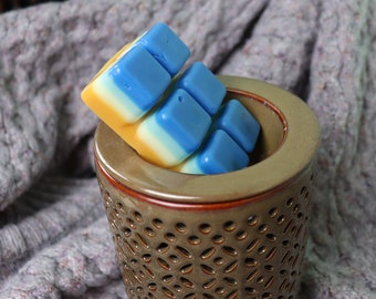 Salt, Sand, Sunblock Wax Melts with Plastic Free Packaging