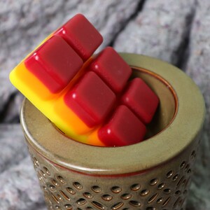 Caribbean Escape Wax Melts with Plastic Free Packaging