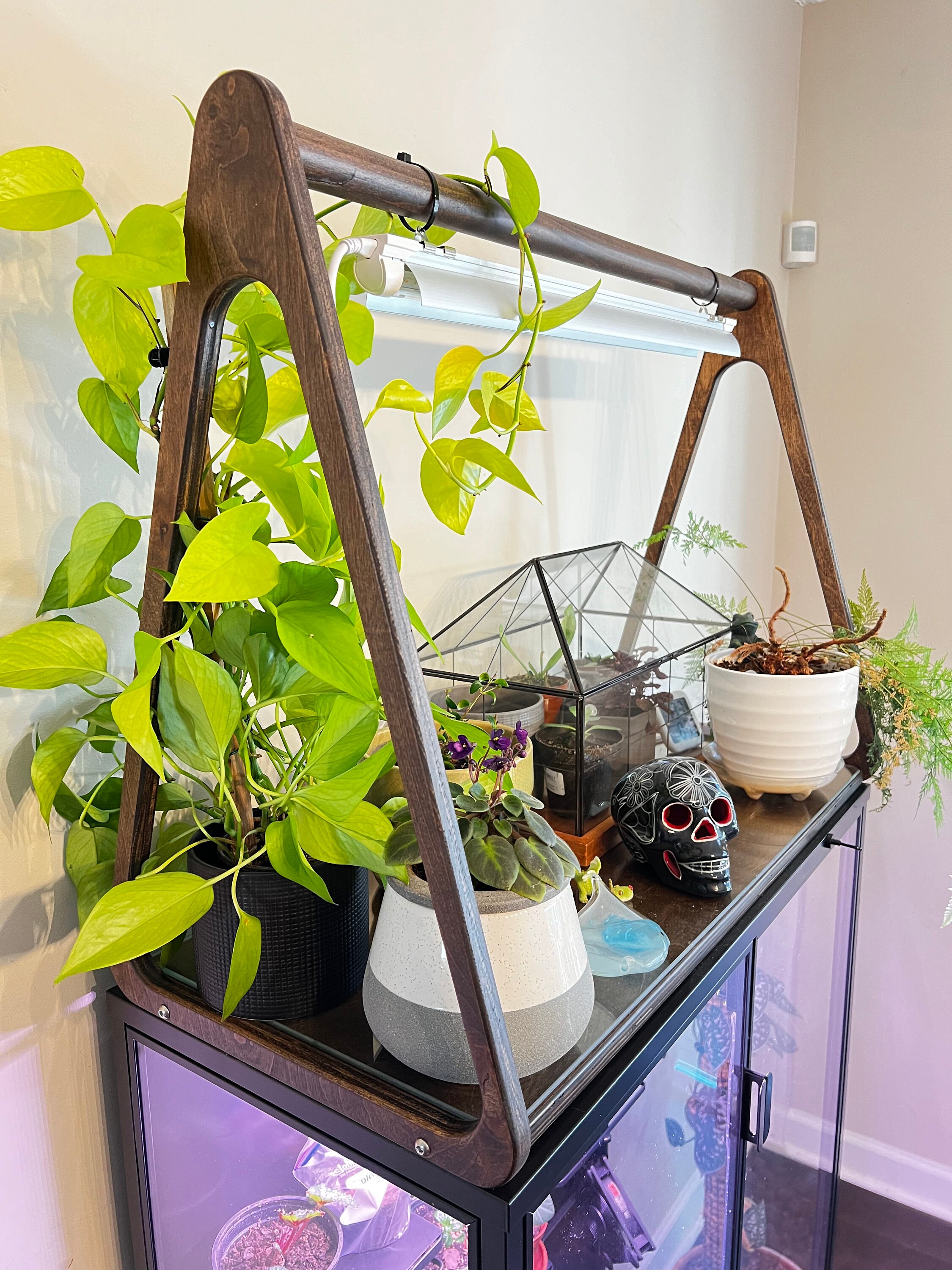 Rudsta Greenhouse Topper Trellis Indoor Garden Sunroom Etsy