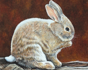 Bunny Canvas Print: "Bunny on a Log" - Nursery Wall Art