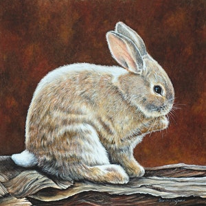 BUNNY CANVAS ART Bunny Art Print Nursery Bunny Print Rabbit Art Canvas Baby&#39;s Room Wall Art Bunny Canvas Print Rabbit Art Print