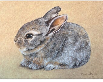 Baby Bunny Canvas Print: Cottontail Rabbit Art, Nursery Decor