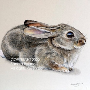 BUNNY ART PRINT Giclee Bunny Rabbit Painting Bunny Rabbit Decor Childs Room Art Bunny Wall Art Wildlife Art Decor Rabbit Drawing