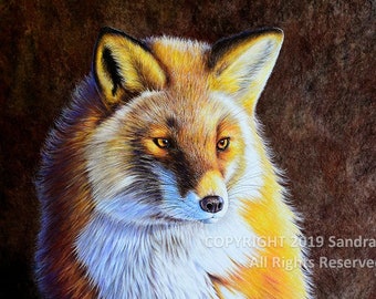 Red Fox Art Print: Wildlife Animal Giclee Print