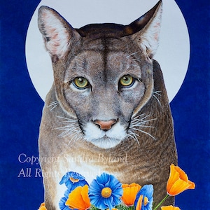 COUGAR ART PRINT Poster Cougar Print Mountain Lion Art Cougar Poster Art Endangered Species Mountain Lion Poster Painting Cougar Wall Decor