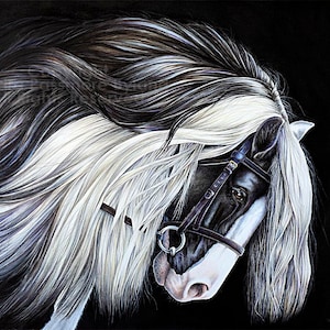 Aesthetic Cob Horse - Diamond Paintings 