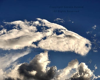 HORSE CLOUD PHOTO by Sandra Byland Horse in the Clouds Actual Photograph Mystical Cloud Photo