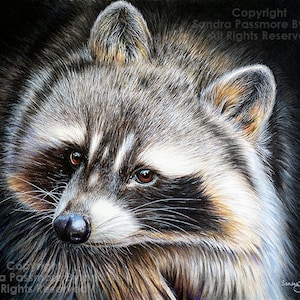 RACOON CANVAS PRINT Racoon Painting Racoon Art Canvas Racoon Drawing Fine Art Racoon Wall Art Racoon Home Decor Wildlife Canvas Print