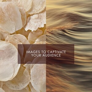 May include: A split image featuring two distinct textures. The left side showcases a collection of translucent, beige, shell-like objects. The right side displays flowing, wavy strands of hair in shades of blonde and brown. Text reads: IMAGES TO CAPTIVATE YOUR AUDIENCE.