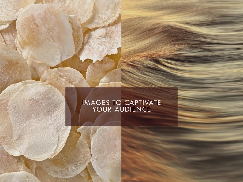 May include: A split image featuring two distinct textures. The left side showcases a collection of translucent, beige, shell-like objects. The right side displays flowing, wavy strands of hair in shades of blonde and brown. Text reads: IMAGES TO CAPTIVATE YOUR AUDIENCE.