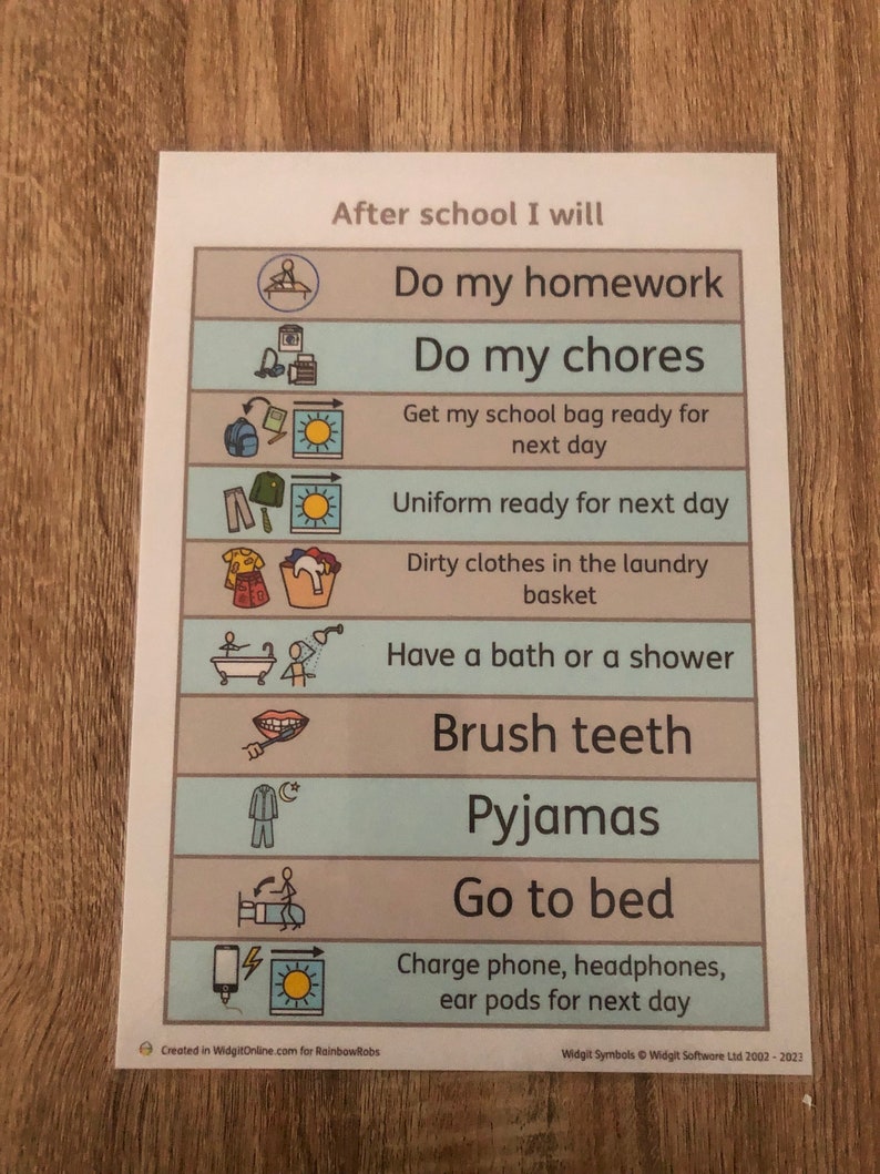 Daily Routine Chart Asd Laminated Daily Routine Chart: Teen/asd/adhd - Etsy Canada