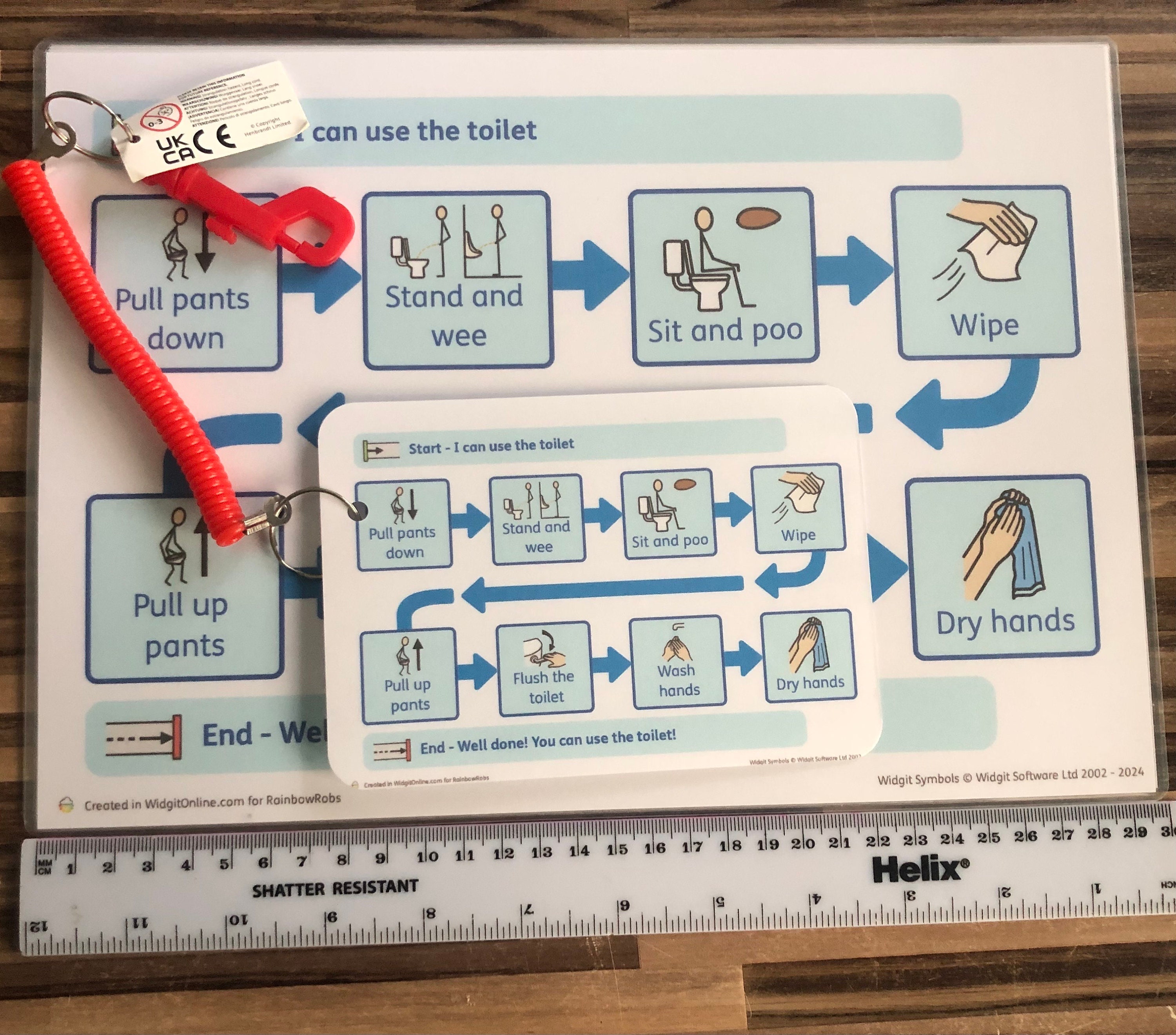 Toilet Training Visual Routine Chart: SEN ASD Toddlers - Etsy UK