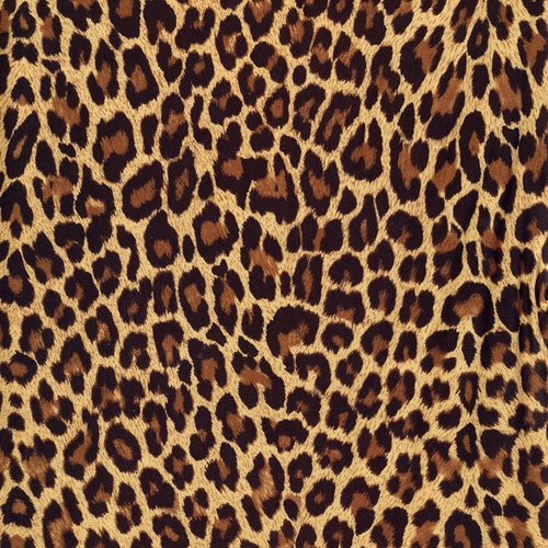 Leopard Animal Print Pattern Sheet SUBLIMATION TRANSFER - Etsy