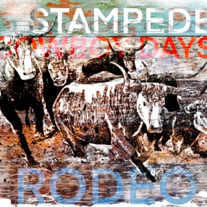 12 x 18 Poster Calgary Stampede 1969 Rodeo : : Home