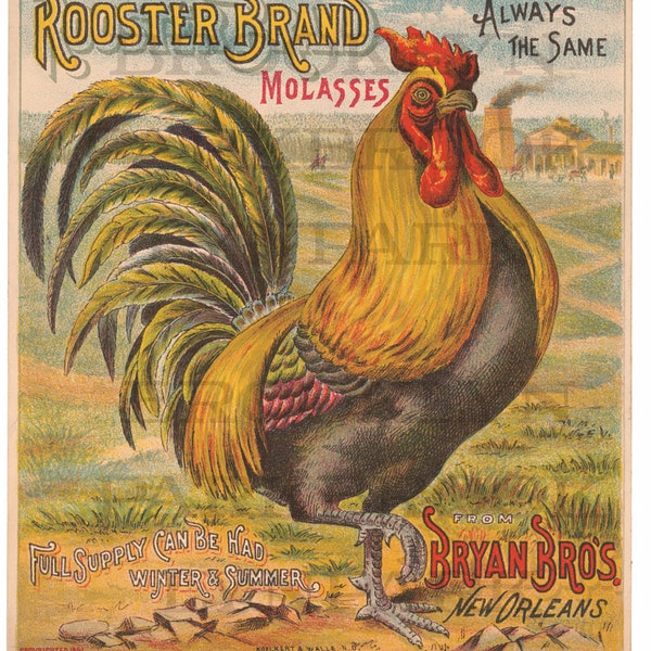 Rooster Advertising, Farmhouse, SUBLIMATION TRANSFER, Ready To Press, pillow, fabric, diy craft
