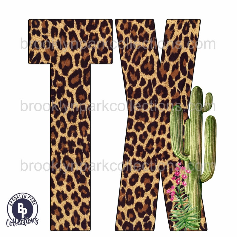cheetah print tevas