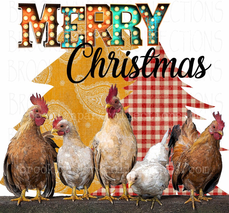 give chickens for christmas