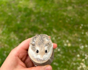 Taxidermy robo dwarf hamster mounted on wooden stand