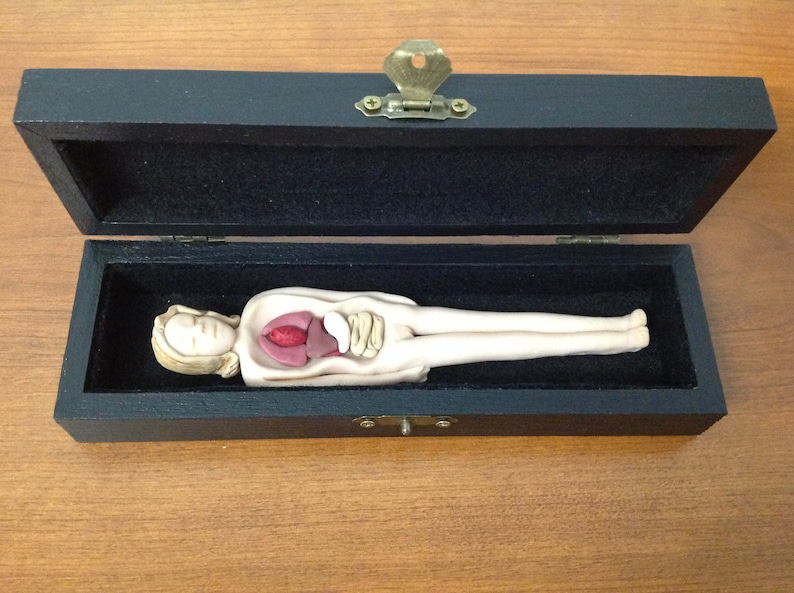 Primitive Anatomy Doll Featuring Removable Organs Etsy