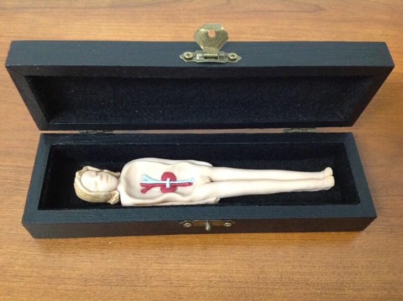 Primitive Anatomy Doll Featuring Removable Organs Etsy Canada