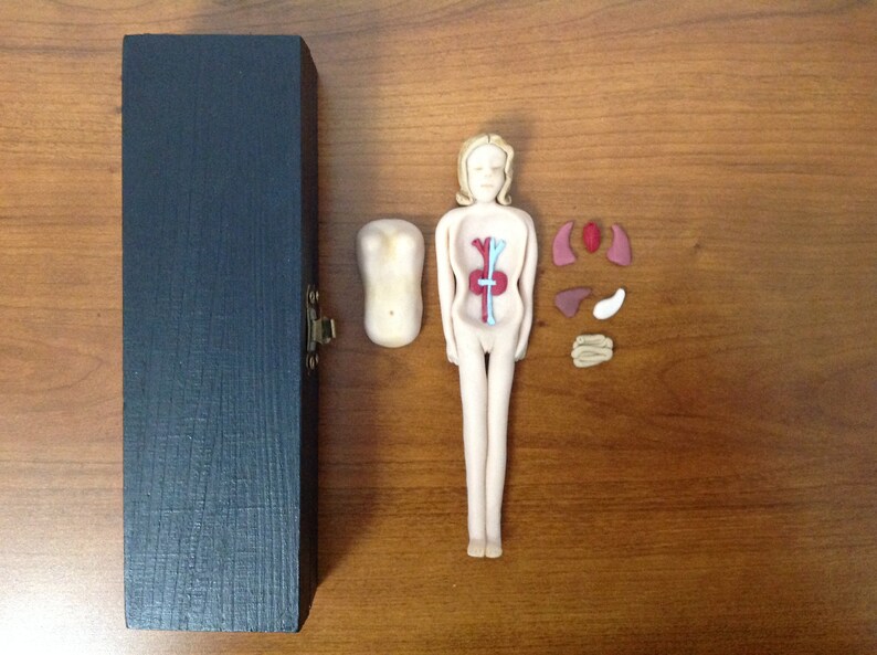 Primitive Anatomy Doll Featuring Removable Organs Etsy Canada