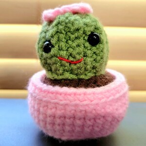 Short Cactus Cutie - Pink