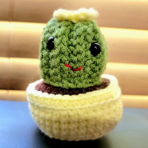 Short Cactus Cutie - Yellow
