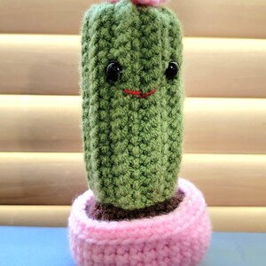 Tall Cactus Cutie - Pink