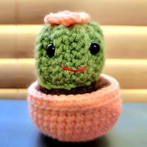 Short Cactus Cutie - Peach