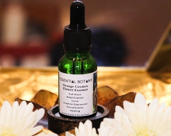 ORANGE COSMOS Flower Essence | Full Moon, Amplification, Voice, Creative Expression, Focus, Clarity, Healing