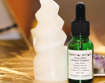 FORSYTHIA Flower Essence | New Moon, Transformation, Self-discipline, Control over destiny, Strength