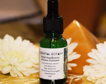 WILD SUNFLOWER Flower Essence | Full Harvest Moon, Fall Equinox, Ego Balance, Protection, Strength, Abundance, Joy