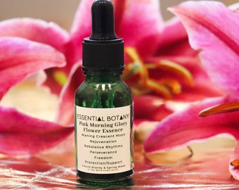 PINK MORNING GLORY Flower Essence | Crescent Moon, Rejuvenation, Rebalance, Freedom, Protection | Energy Healing