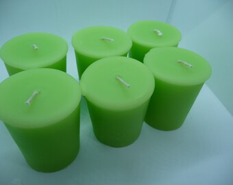 Candle Votive Scent Winter Pine, Pack Of 6