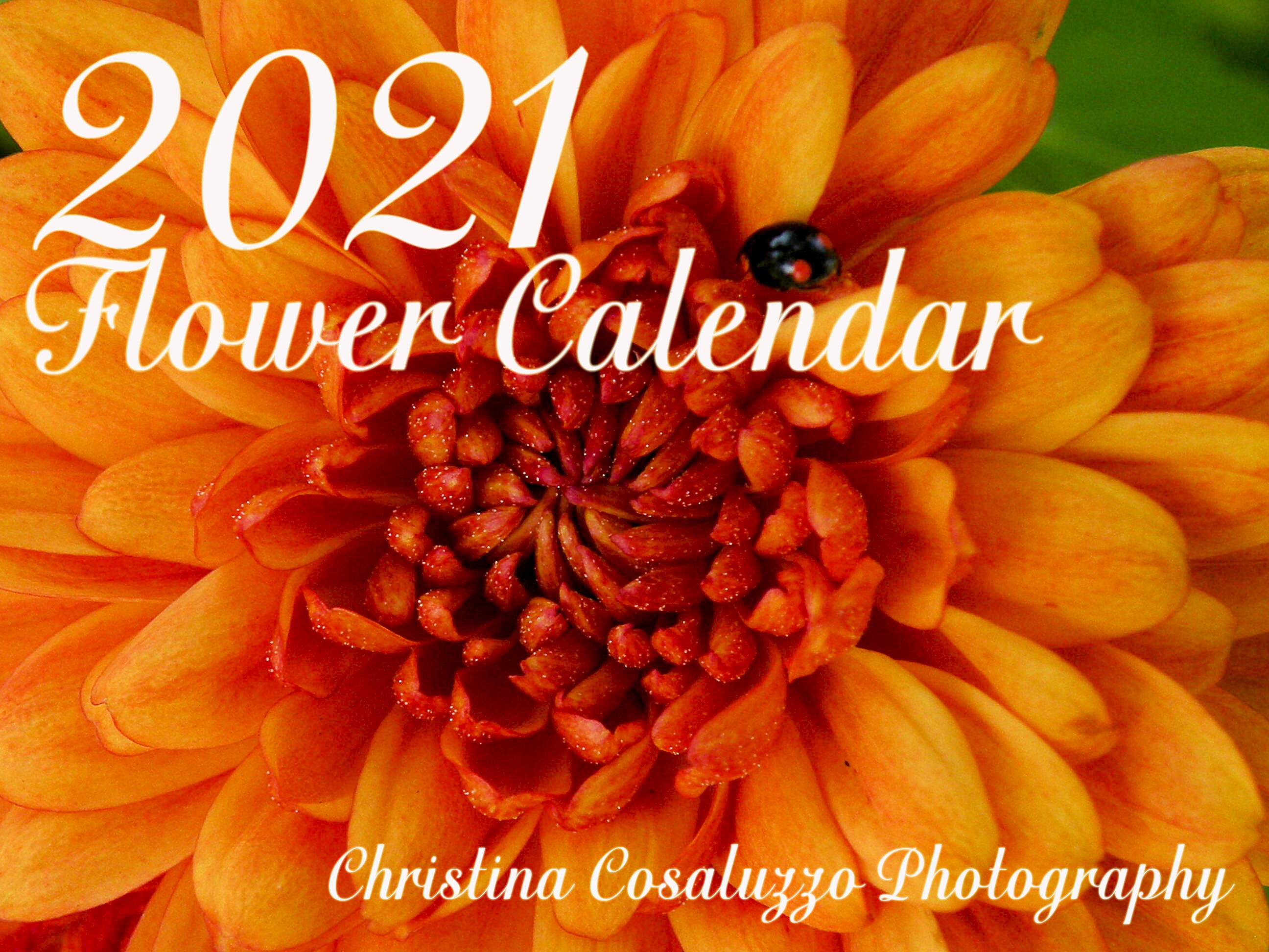 2021 Flower Calendar Etsy