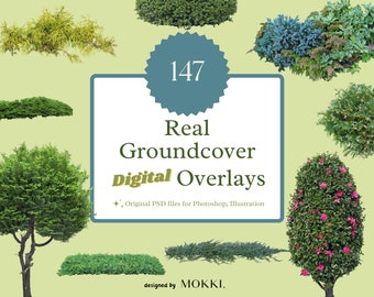 147 Real Groundcover Garden Plant Overlays Photoshop JPG/PNG/PSD Photography High-Resolution Digital Download