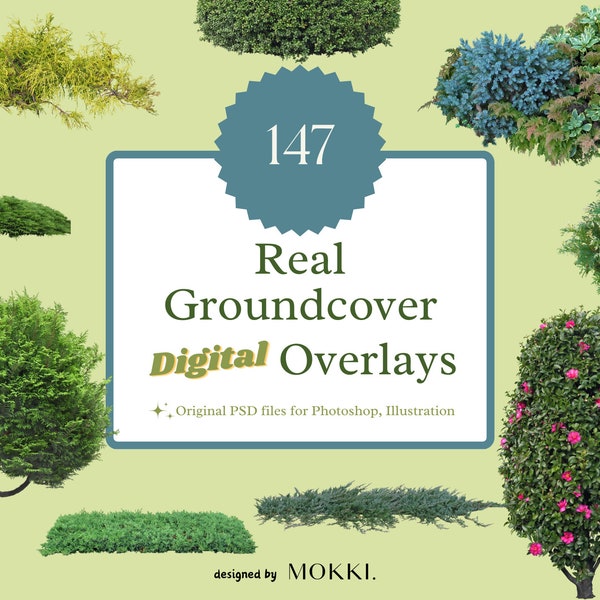 147 Real Groundcover Garden Plant Overlays Photoshop JPG/PNG/PSD Photography High-Resolution Digital Download