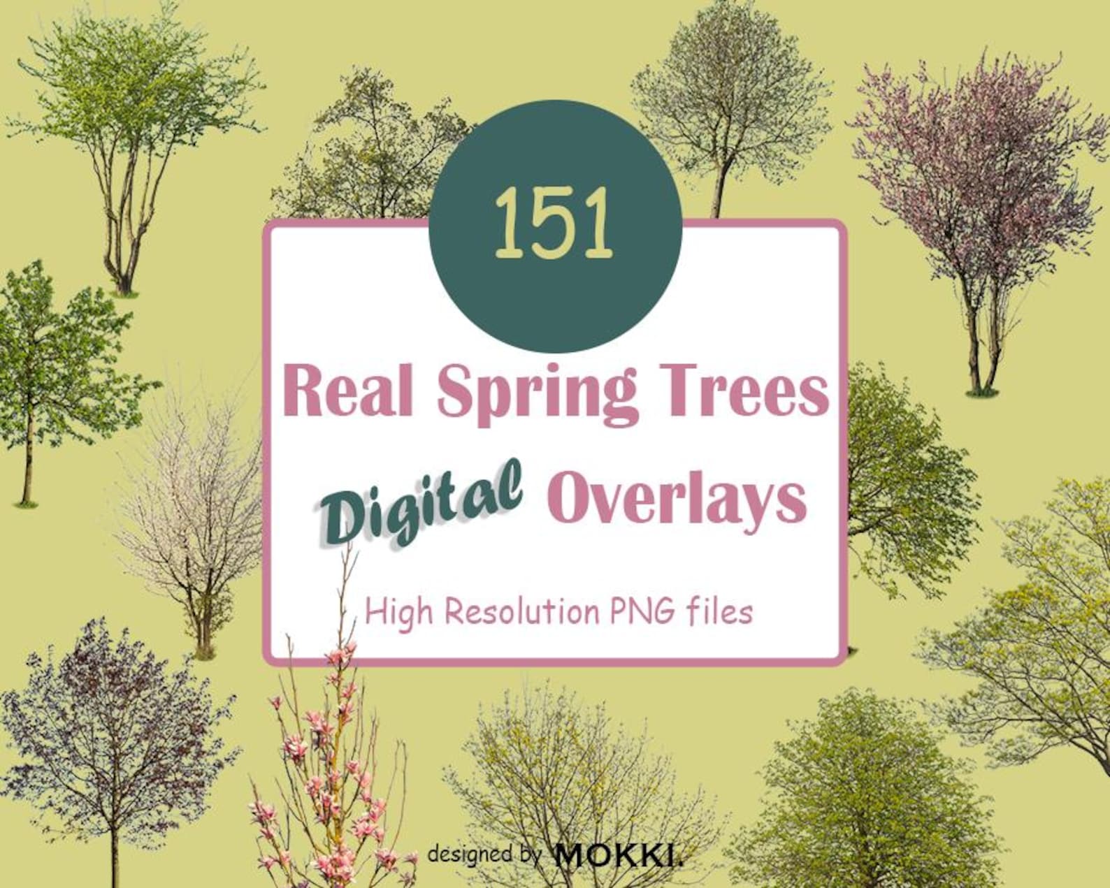 151 Real Early Spring Tree Overlays High-resolution PNG Digital Instant ...