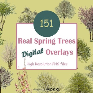 151 superposiciones de árboles reales de principios de primavera en formato PNG de alta resolución Descarga instantánea digital