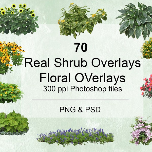 70 Real Shrub Overlays, floral clipart, JPG/PNG/PSD, High resolution, Instant Digital Download