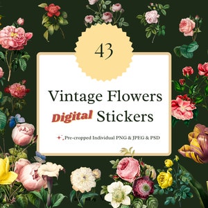 43 Vintage Blumen Clipart Digitale Aufkleber Hand gezeichnet Floral PNG PSD Garten Design Scrapbook Landschaft Architekturdesign Sofort Download