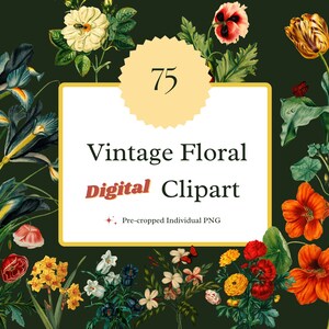 Vintage Floral Clipart Flower Hand-drawn Botanical Clipart Instant Download for Wall Art Prints, Invitations, Collages, Crafts