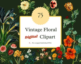 Vintage Floral Clipart, Hand-Drawn Botanical Flowers (Digital Download)