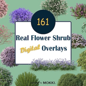 161 superposiciones de arbustos con flores reales en alta resolución ONG Descarga instantánea digital