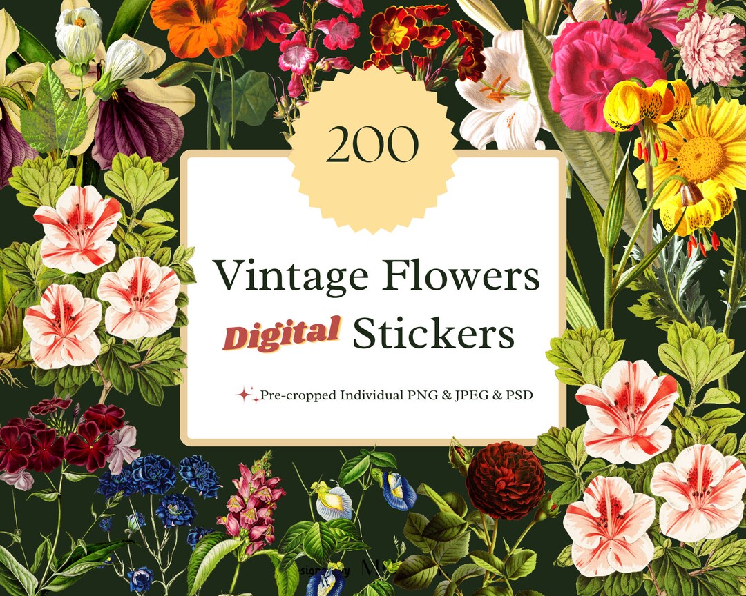 200 Vintage Flowers Clipart Instant Download PNG PSD Garden Design ...