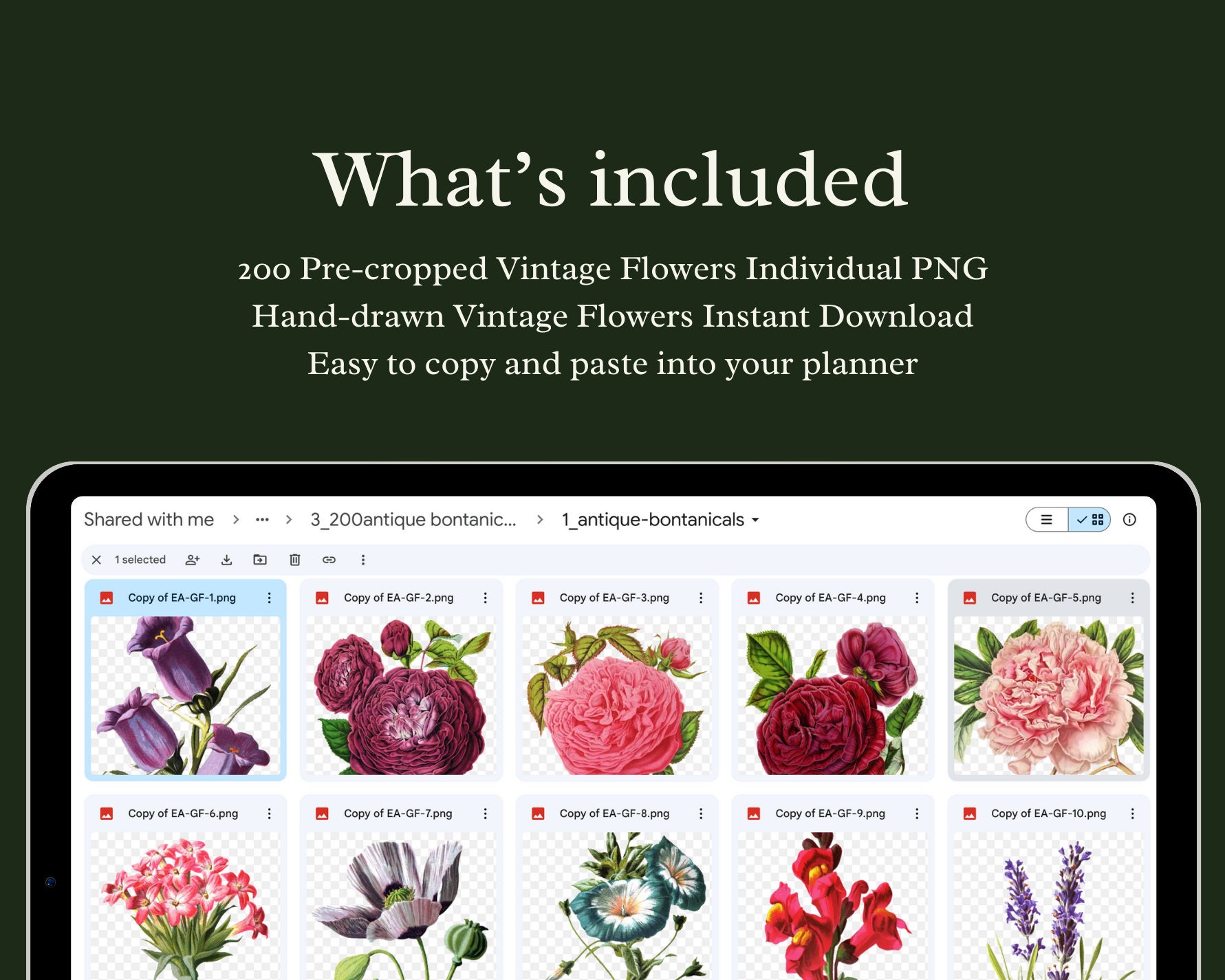 200 Vintage Flowers Clipart Instant Download PNG PSD Garden Design ...